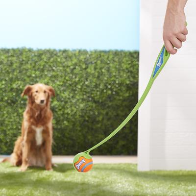 Show full view: Chuckit! Sport Launcher Dog Toy, Color Varies, 25M slide 2 of 9