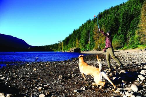 Show full view: Chuckit! Sport Launcher Dog Toy, Color Varies, 25M slide 3 of 9