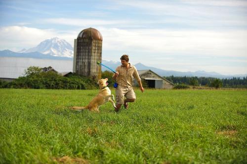 Show full view: Chuckit! Sport Launcher Dog Toy, Color Varies, 25M slide 5 of 9