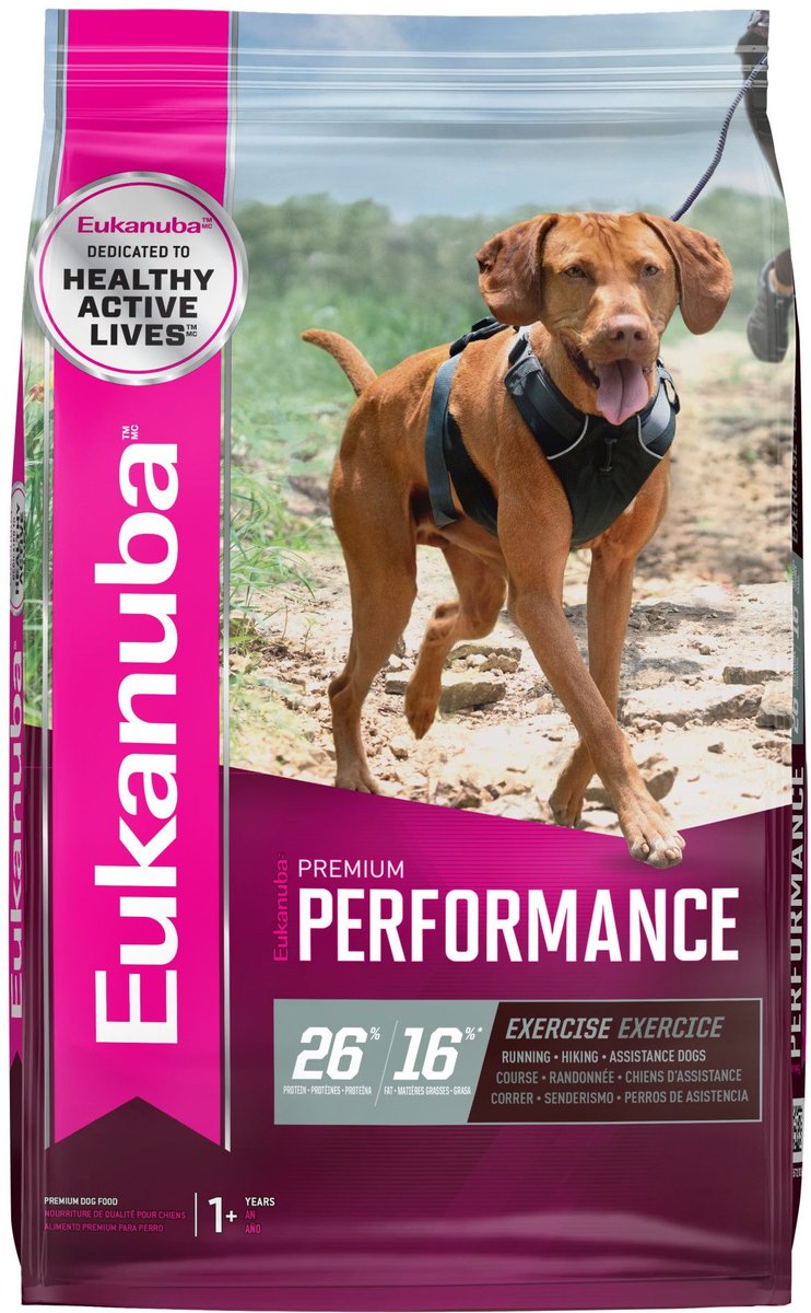 Chewy eukanuba outlet large breed