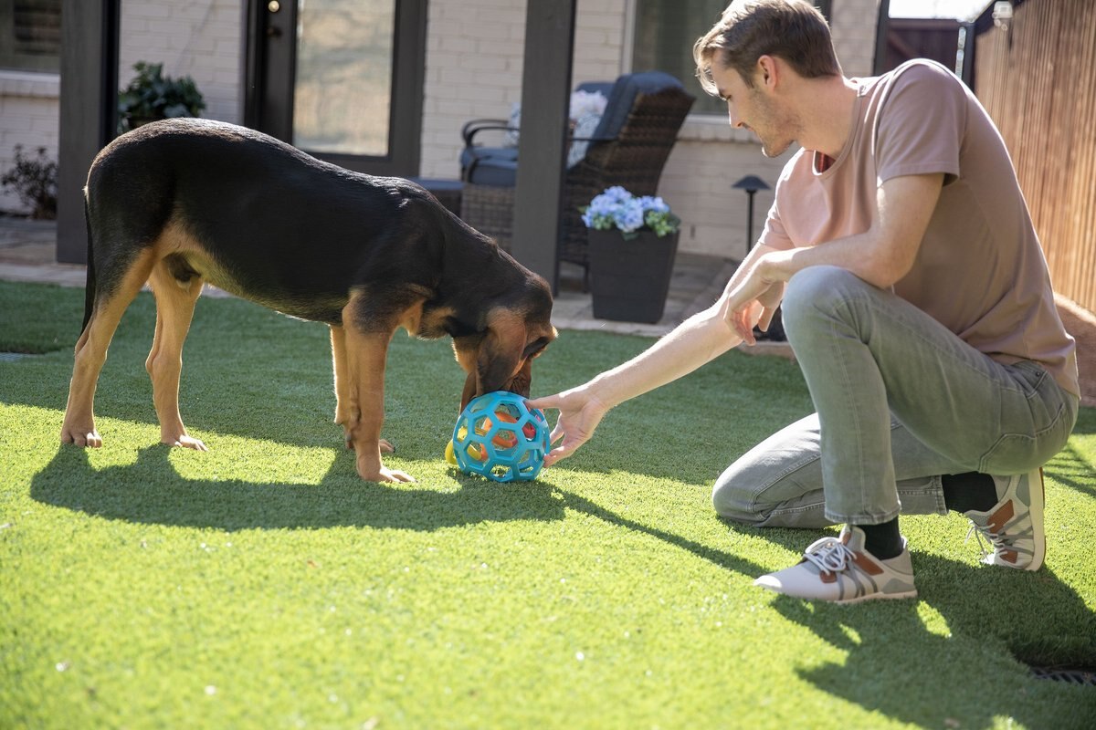 JW PET Holee Roller Dog Toy, Color Varies, Jumbo