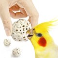 SunGrow Parrot Sola Atta Shred Foraging & Foot Chew Ball, Sunflower Seed Holder, Teeth Grinding for Hamster, 3 count