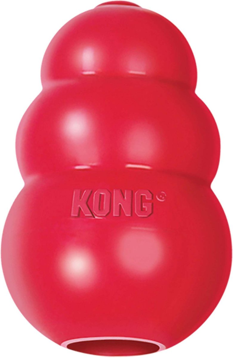 Kong Small Extrme Goodie Ball Dog Puppy Toy Squeak Treat NEW 