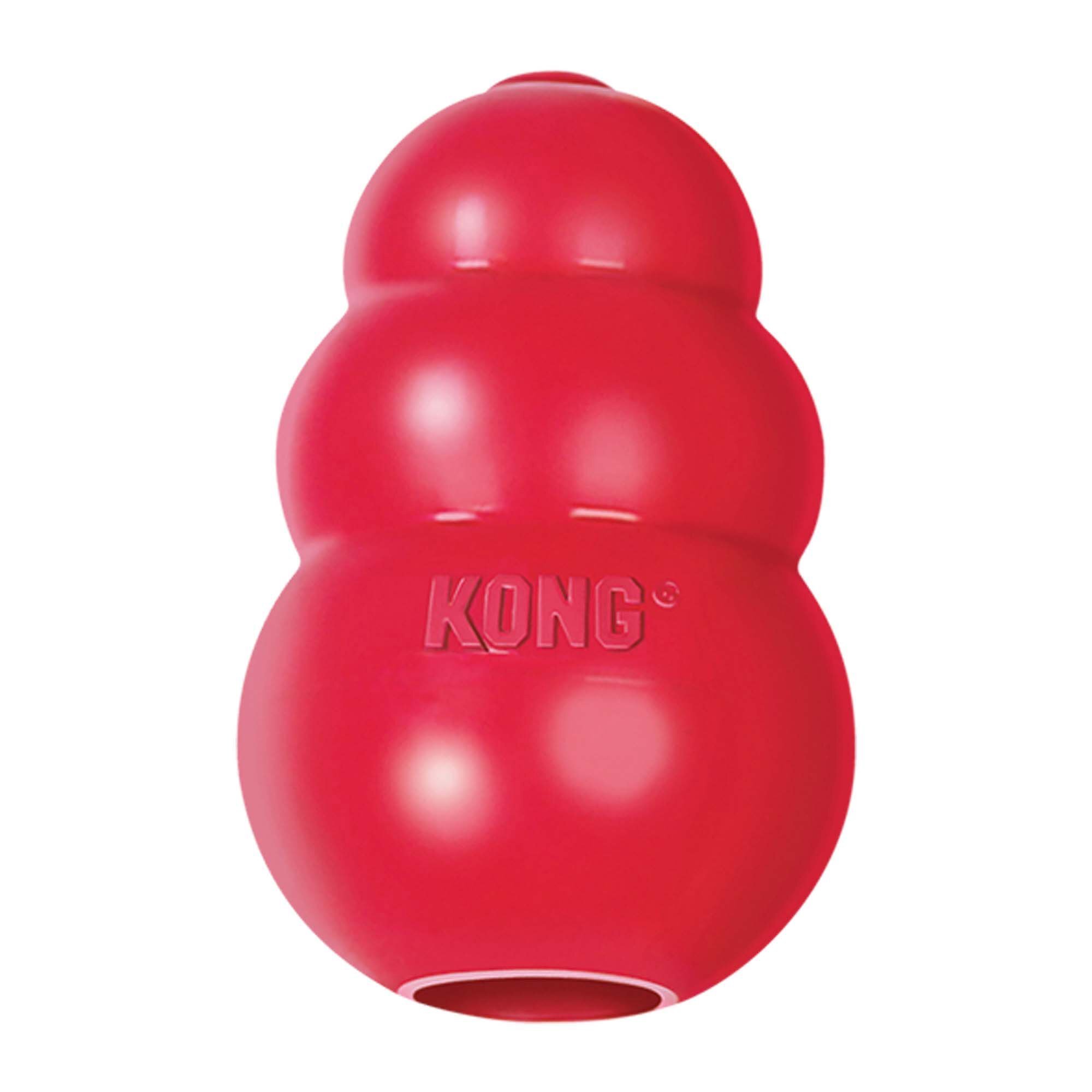 Chewy Review – Kong Classic & Kong Easy Treat