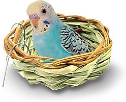 SunGrow Canary & Finch Nesting Material in Bird Cage Handmade Grass Basket, 4-in diameter