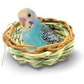 SunGrow Canary & Finch Nesting Material in Bird Cage Handmade Grass Basket, 4-in diameter