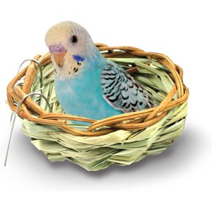 SunGrow Canary & Finch Nesting Material in Bird Cage Handmade Grass Basket, 4-in diameter