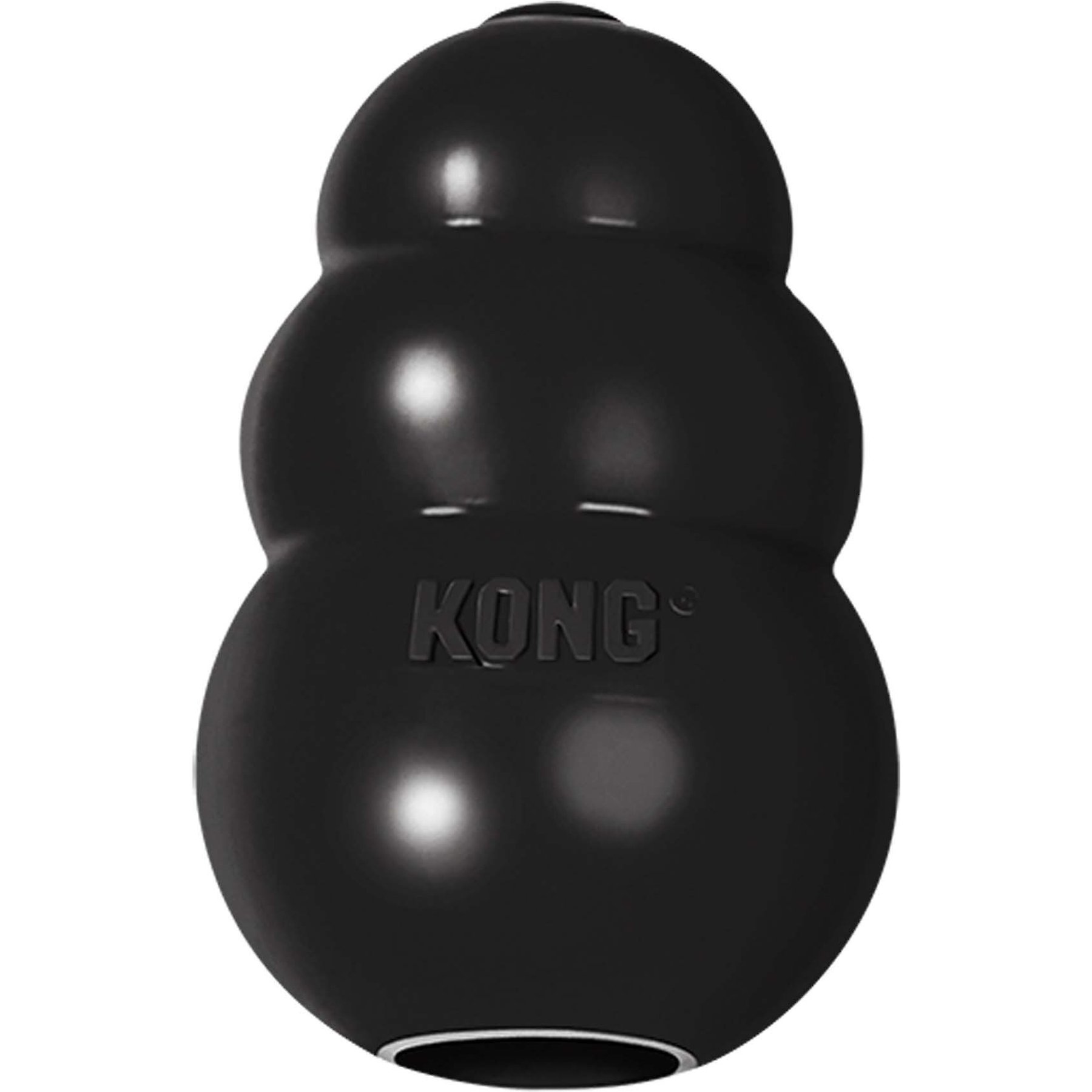 Kong Wobbler Hands-On Dog Toy Review [2023]