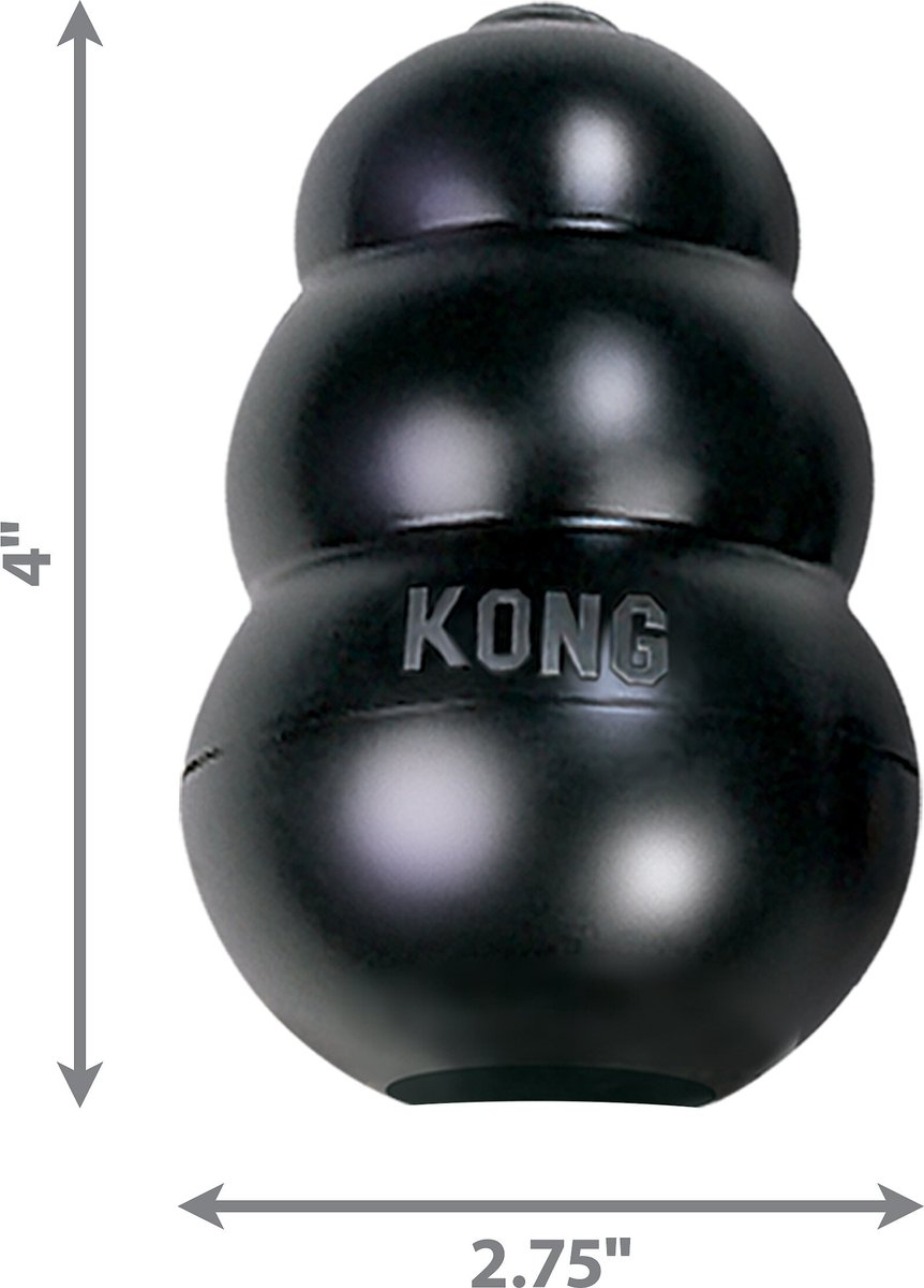 Kong extreme dog store toy