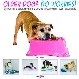 Older dog? No Worries!
