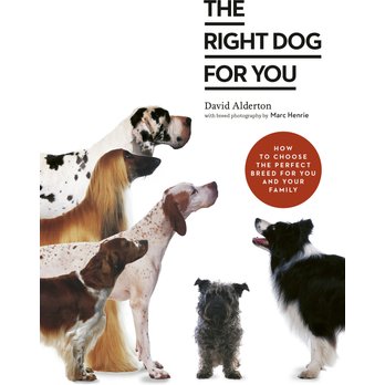 Right Dog for You by David Alderton