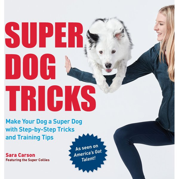 101 Dog Tricks: Step By Step Activities To Engage, Challenge & Bond ...