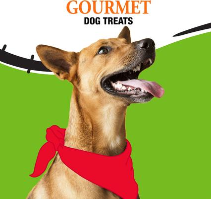 Show full view: Good 'n' Fun FrankenBones Rawhide Chicken Flavor Small Breed Chewy Dog Treats, 2-oz bag slide 9 of 10