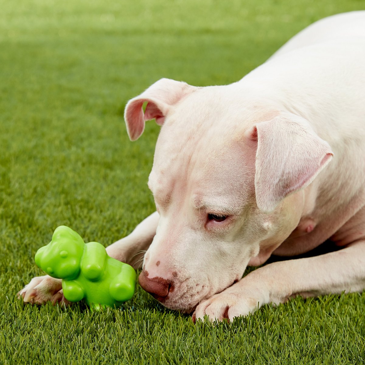 JW PET Megalast Bear Dog Toy, Color Varies, Medium