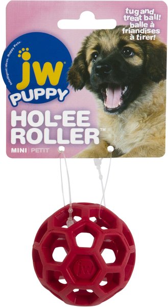 JW Pet Mini Hol-ee Roller Dog Toy, Color Varies slide 1 of 10