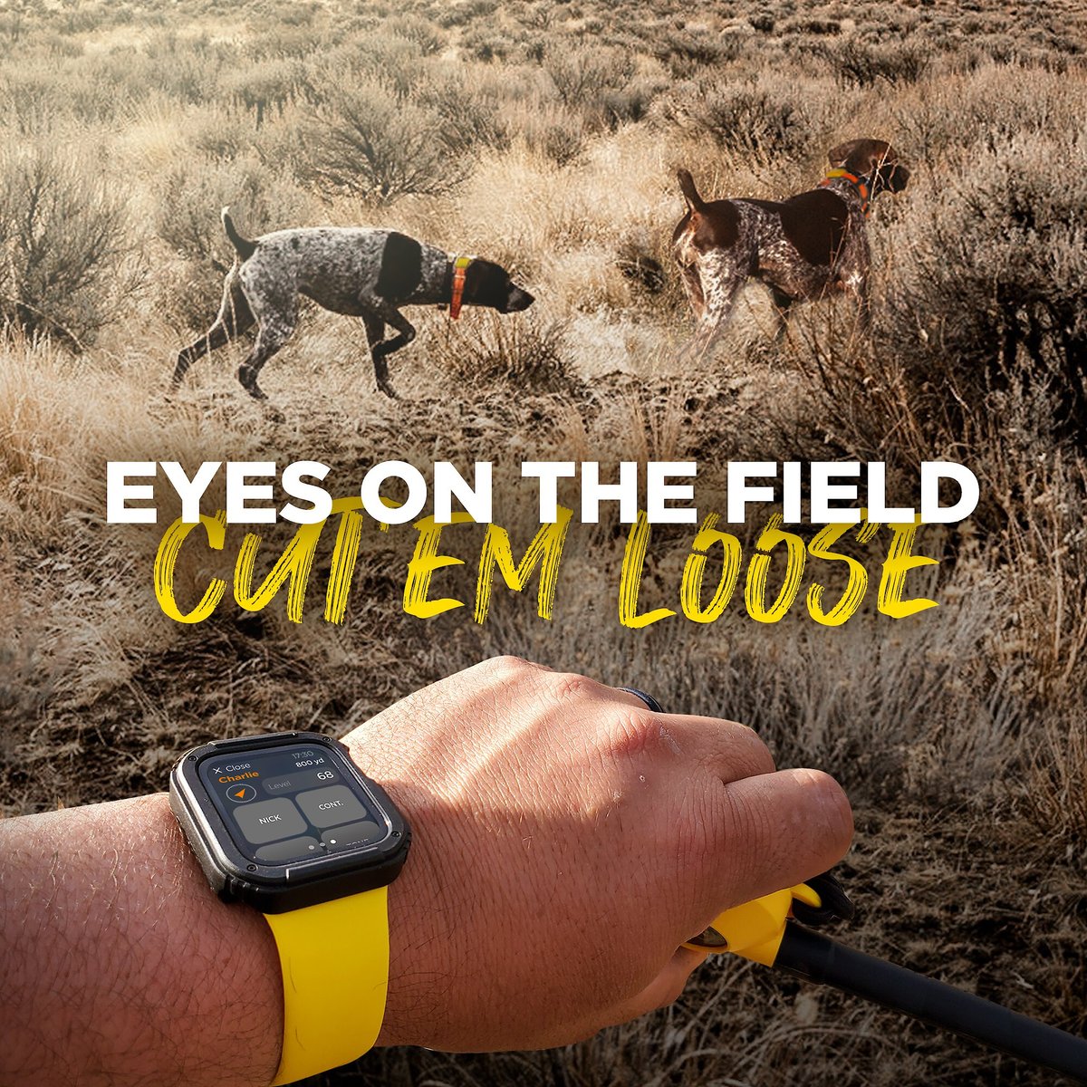 DOGTRA Pathfinder2 GPS & Dog Training Collar System, Black