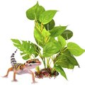 SunGrow Leopard Gecko Artificial Plant Reptile Hide & Terrarium Fake Leave Decor, Green