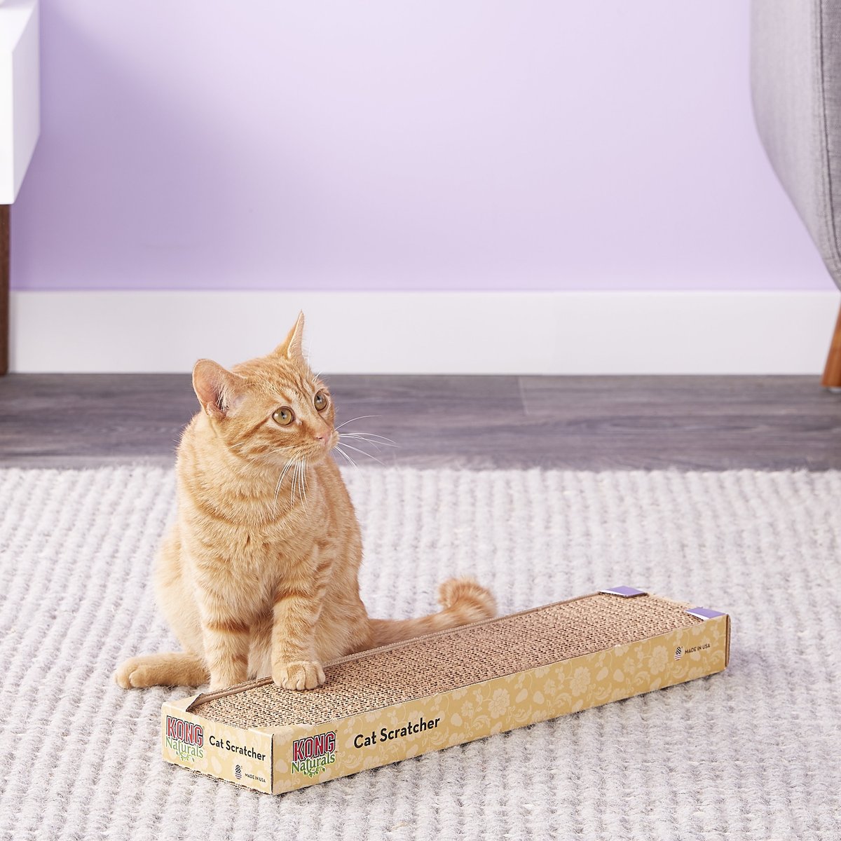 Kong hotsell cat scratcher