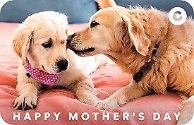 Mom Love