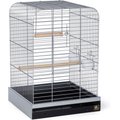 Prevue Pet Products Bird Cage, Chrome