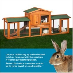 Prevue Pet Products Hutch with Double Run Small Pet Hutch, Natural slide 2 of 9