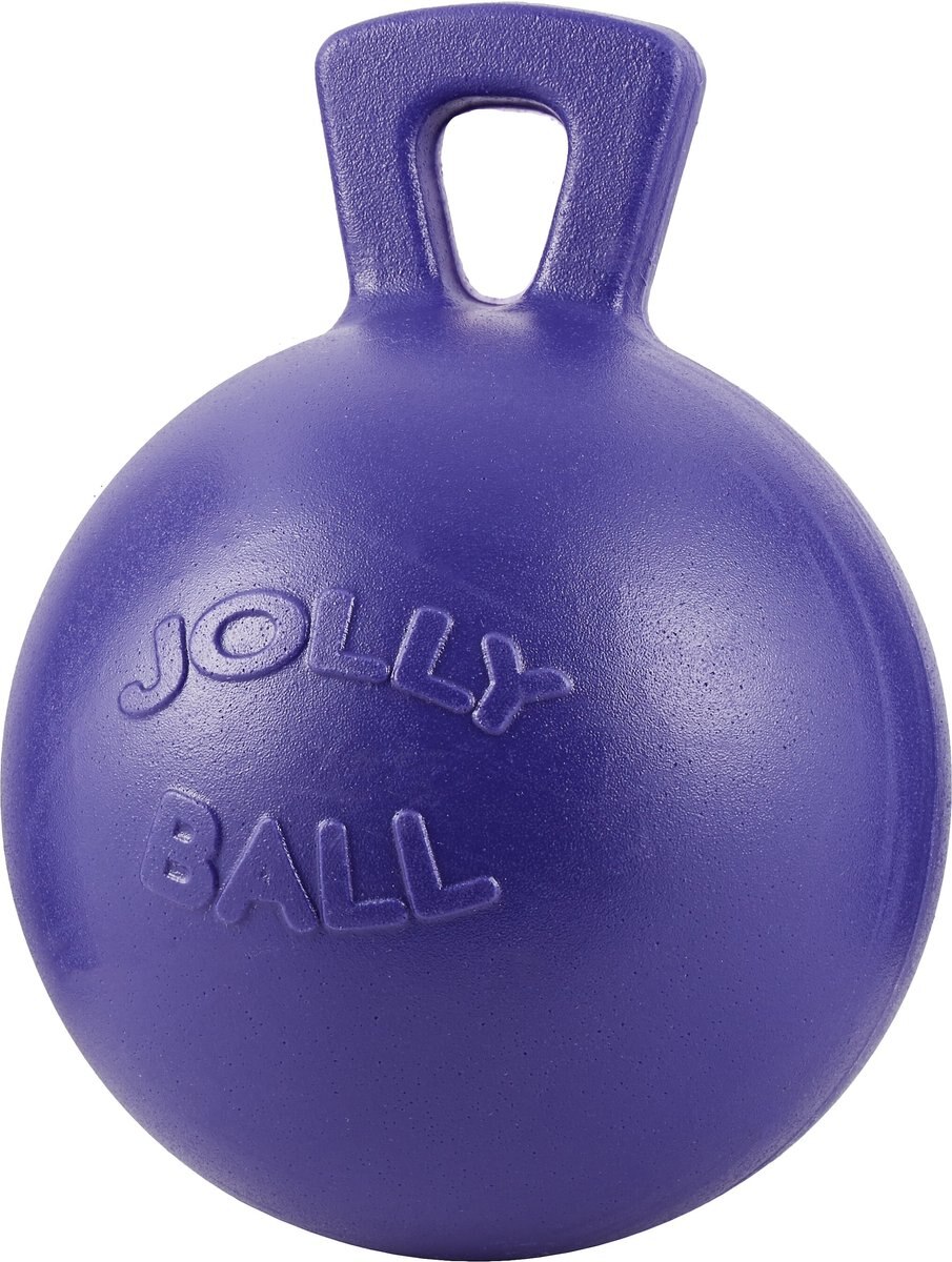 JOLLY PETS TugnToss Dog Toy, Purple, 10in