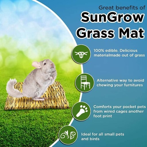 SunGrow Natural Teething Chew Mat for Small Pet Snacks & Bedding Cage Accessories