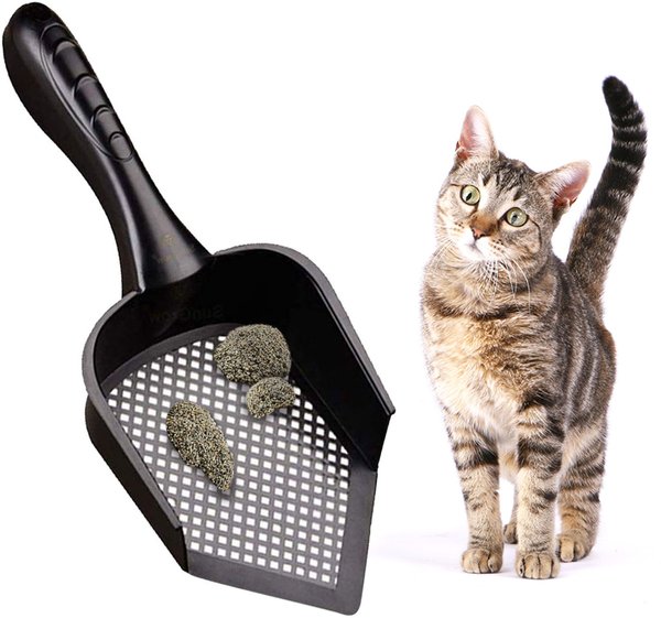 Cat litter store box scoopers