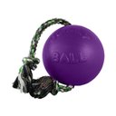 Jolly Pets Romp-n-Roll Dog Toy, Purple, 4.5-in