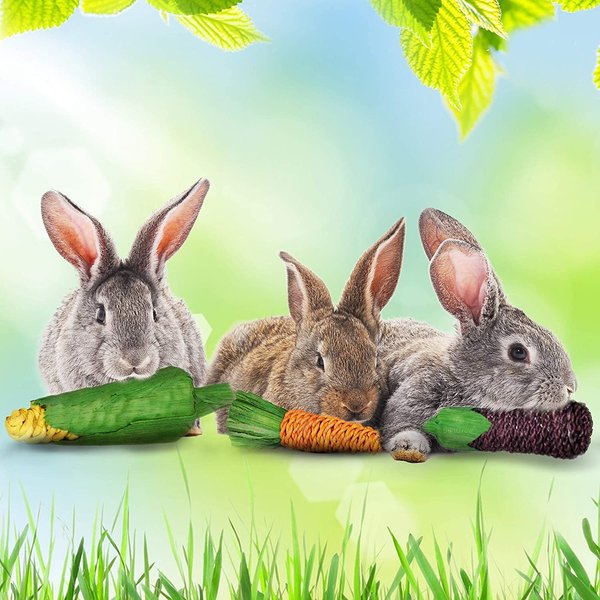 SunGrow Rabbit & Guinea Pig Veggie Chew Small Pet Teeth Grinding Toy, 3 count slide 1 of 6