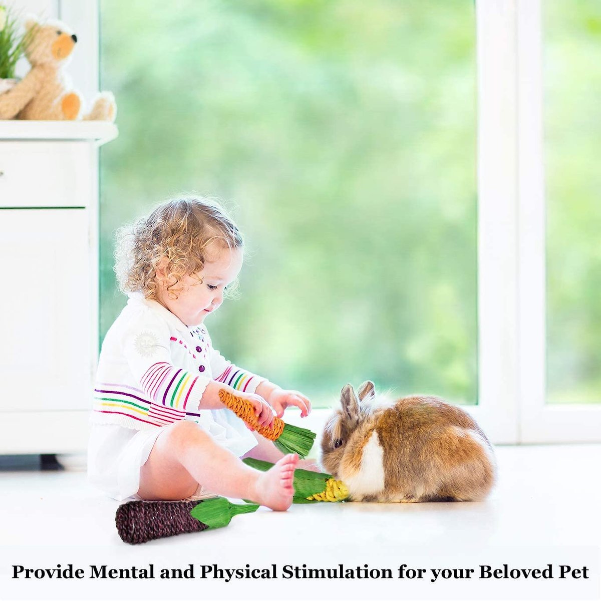 SUNGROW Rabbit & Guinea Pig Veggie Chew Small Pet Teeth Grinding Toy, 3