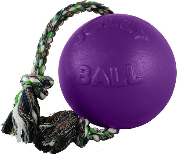 Jolly Pets Romp-n-Roll Dog Toy, Purple, 8-in slide 1 of 5