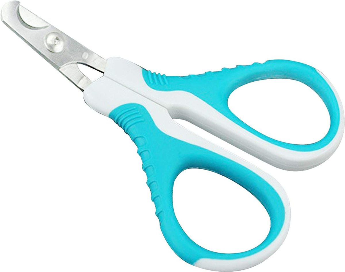 Amazon.com: Candure Cat Nail Clippers for Indoor Cats, Rabbits, Hamsters,  Birds with Precise Angled Edges to Ensure Easy & Safe Trimming Stainless  Steel Cat Nail Trimmer for at-Home Cat Grooming