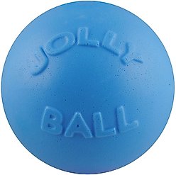 Jolly Pets Bounce-n-Play Dog Toy, Blueberry, 8-in