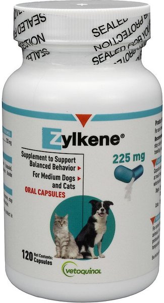 Zylkene for outlet dogs