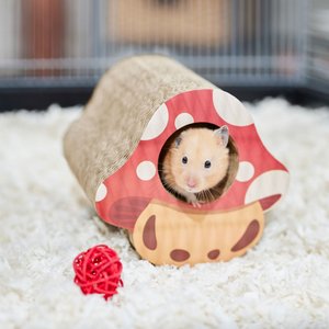 Frisco Mushroom Hide & Chew Small Pet Toy