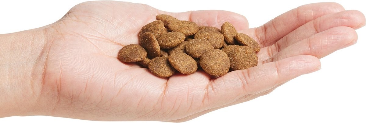 NATURAL BALANCE Limited Ingredient Lamb & Brown Rice Recipe Dry Dog