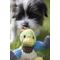 Show in main carousel: HuggleHounds Barnyard Durable Plush Corduroy Knottie Duck Squeaky Dog Toy, Small slide 3 of 11