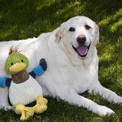 Show full view: HuggleHounds Barnyard Durable Plush Corduroy Knottie Duck Squeaky Dog Toy, Large slide 3 of 11