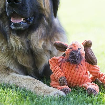 Show full view: HuggleHounds Woodlands Durable Plush Corduroy Knottie Moose Squeaky Dog Toy, Small slide 3 of 11