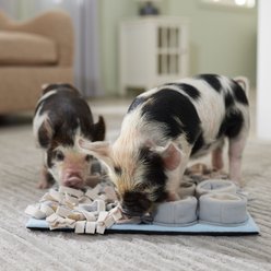 Frisco Piggy Snuffle Activity Mat, Grey slide 1 of 3