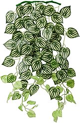 Frisco Artificial Watermelon Terrarium Vine