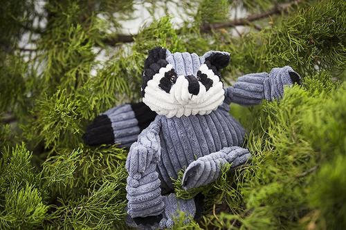 Show full view: HuggleHounds Woodlands Durable Plush Corduroy Knottie Racoon Squeaky Dog Toy, Small slide 3 of 9