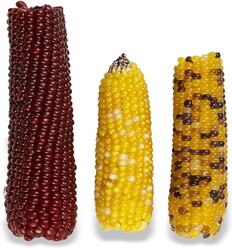 Vitakraft Mini-Pop Corn Cob Bird Treat, 1-lb bag slide 2 of 5