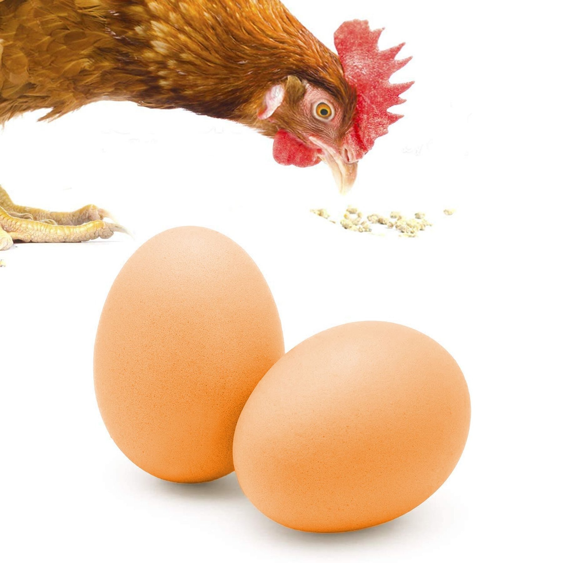 25 Hole Egg Shipping Foam for Turkeys, Geese, Ducks & Chicken Eggs