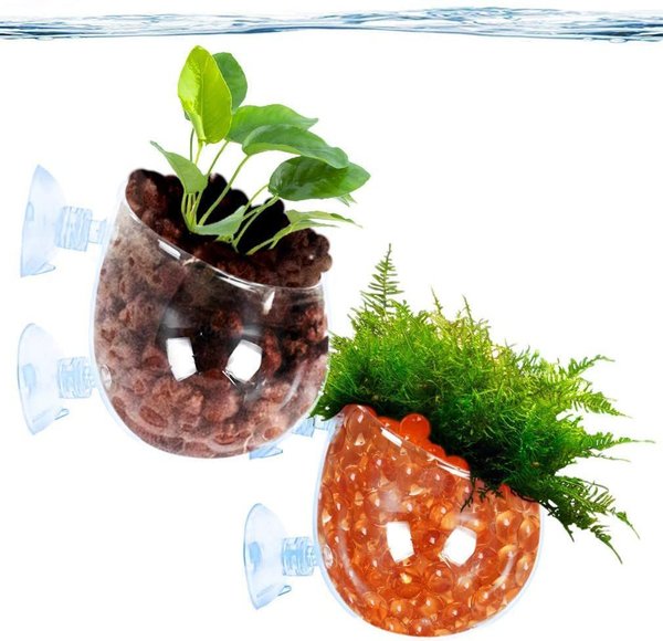 SunGrow Betta & Turtle Glass Pot for Aquarium Live Plant Reptile Terrarium Tank Decor, 2 count slide 1 of 3
