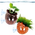 SunGrow Betta & Turtle Glass Pot for Aquarium Live Plant Reptile Terrarium Tank Decor, 2 count