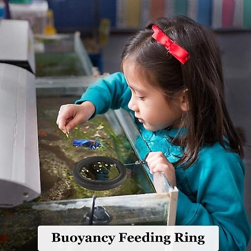 SunGrow Betta & Goldfish Food Pellets & Flakes Fish Feeding Ring