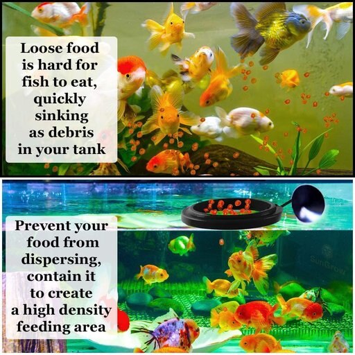 SunGrow Betta & Goldfish Food Pellets & Flakes Fish Feeding Ring