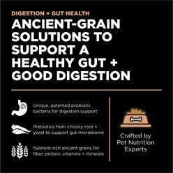 Go! Solutions Digestion + Gut Health Salmon Recipe with Ancient Grains for Dogs, 22-lb bag slide 2 of 9